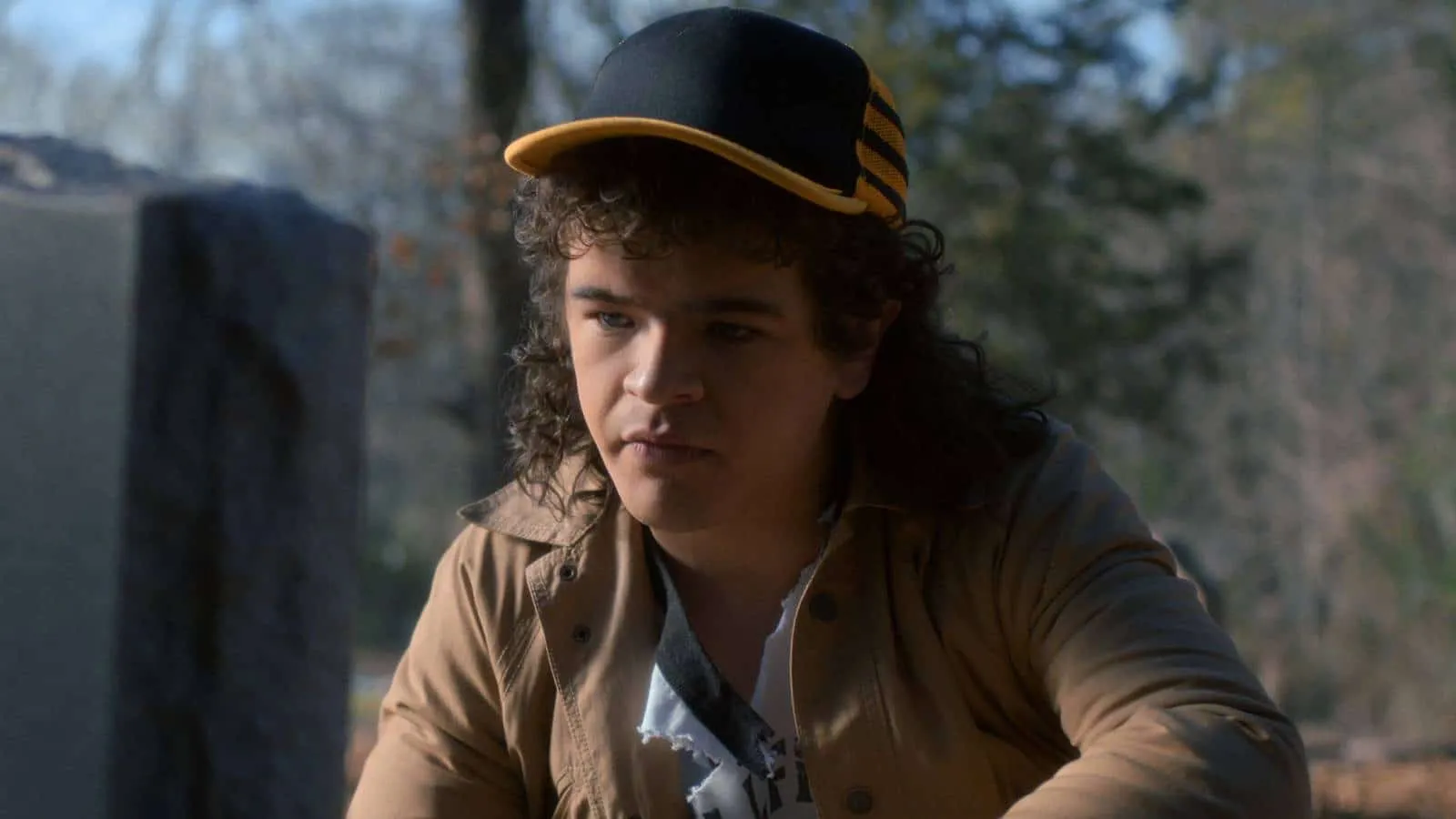 Stranger Things 5: ator sugere mortes emocionantes no final