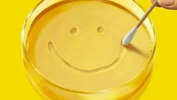 Final da série: entenda e prepare-se para a 2ª temporada