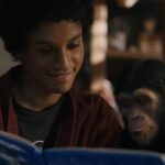 Michael Jackson e Bubbles: o destino do chimpanzé