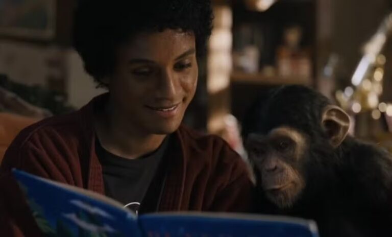 Michael Jackson e Bubbles: o destino do chimpanzé