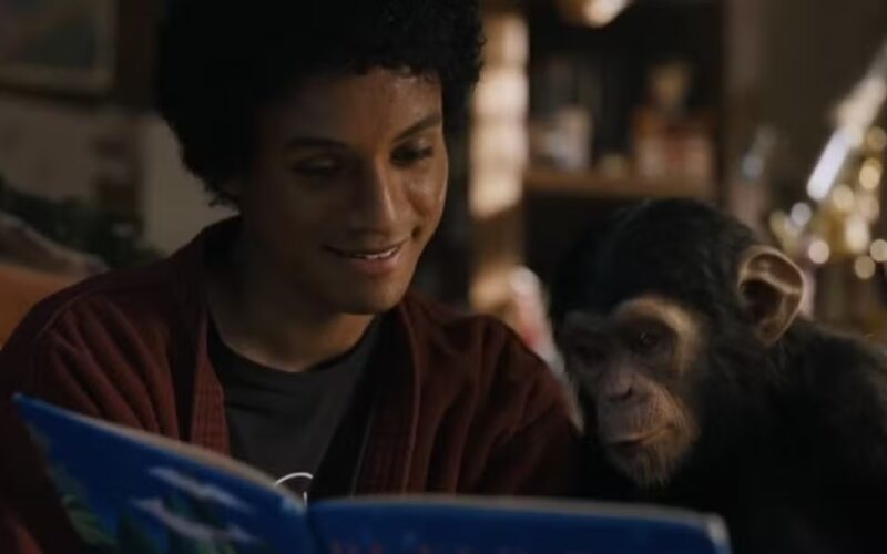Michael Jackson e Bubbles: o destino do chimpanzé