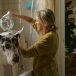 10 filmes para quem prefere cinema à Copa