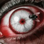 A Morte do Demônio: Em Chamas: ranking de todos os filmes