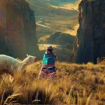 Diretora de 'Naira' revela filme após escapar da morte
