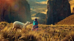 Diretora de 'Naira' revela filme após escapar da morte