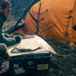 Brad Pitt e seu cão Odin em novo vídeo de 'Coração Selvagem